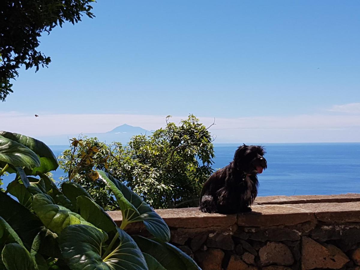 Apartamentos Corral De Payo Breña Baja Dış mekan fotoğraf